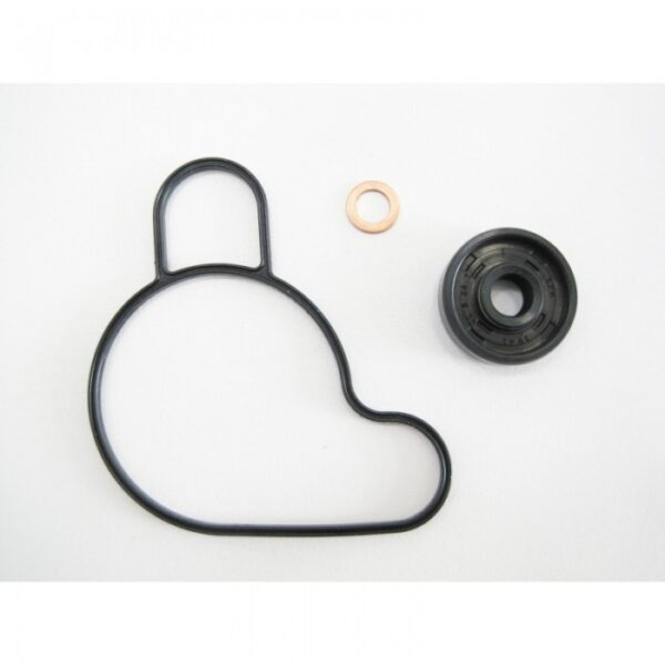276-WPT203#1.jpg. BWX Water Pump Gasket Set - SX50 / TC50