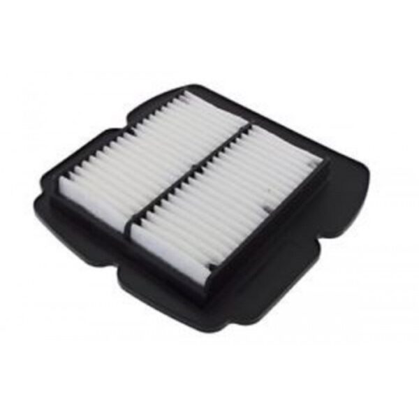 AIR FILTER CHAMPION CAF2612