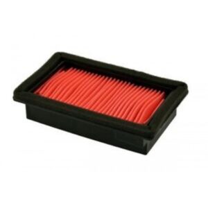 AIR FILTER CHAMPION CAF3613