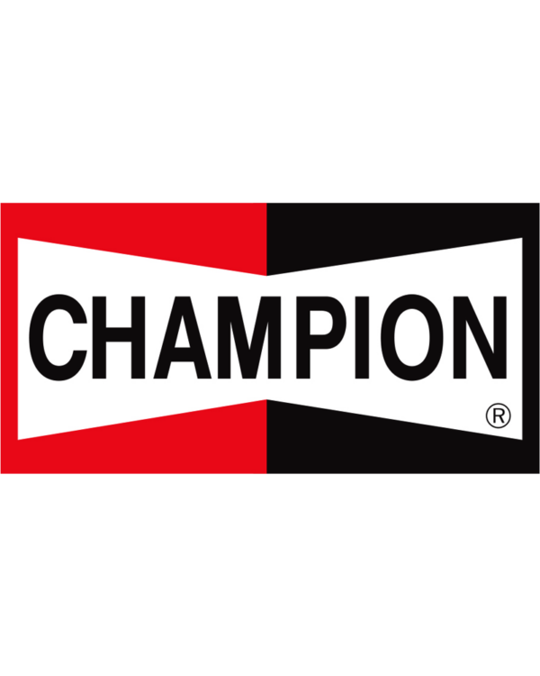 AIR FILTER CHAMPION CAF1924
