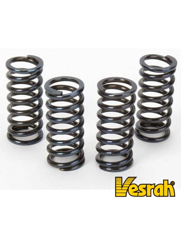 Vesrah Clutch Springs Honda TRX250 ATV - '97-'11