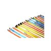 275-CT02ST2#1.jpg. MSD Tie Downs - Various Colors 1" With Soft Loop