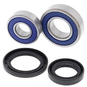 Front Wheel Bearing Kit - TRX700