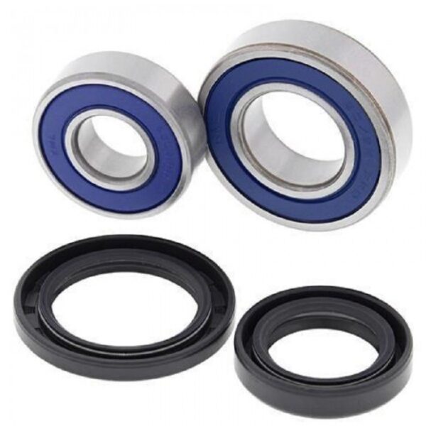 Front Wheel Bearing Kit - TRX700