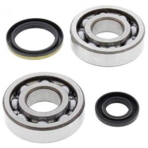 Crank Bearing Kit - RM250