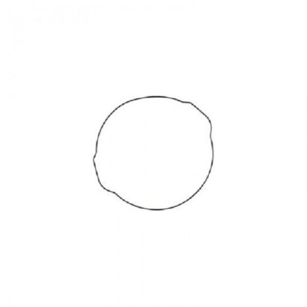 Clutch Cover O'Ring - YZ450F/YZ450FX/WR450F
