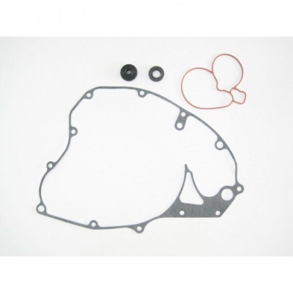 WATER PUMP GASKET SET BWX  RMZ250 07-15 - Image 2