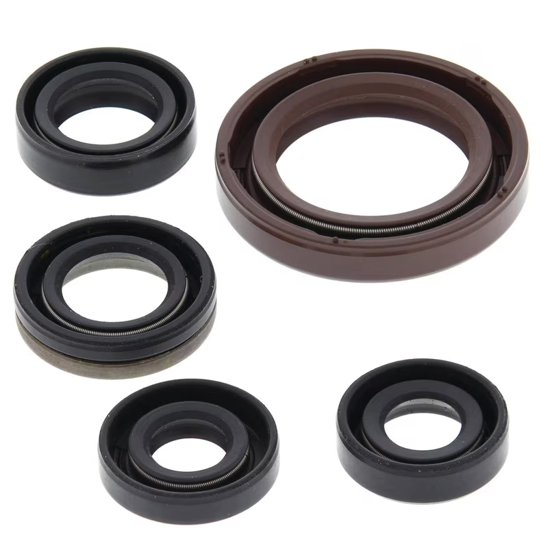 Engine Oil Seal Kit - LT-R450