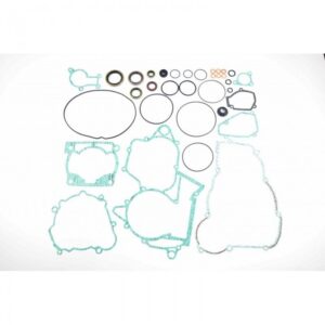 Complete Gasket Set-Beta RR250/300 '14-'15