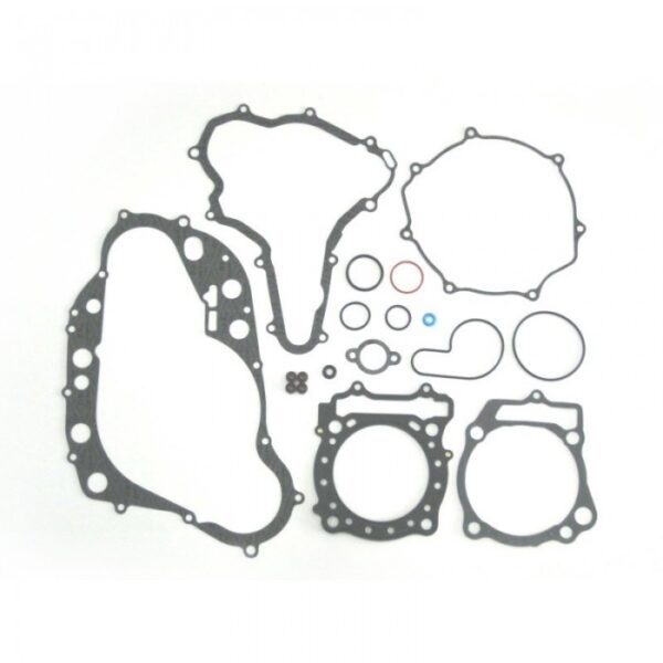 Complete Gasket Set - LTR450