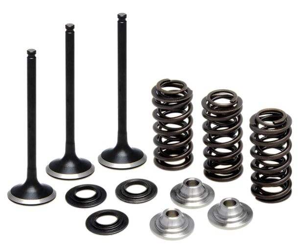 372-80-80850. Inlet Valve Kit - YZF/WRF250 '01-'13