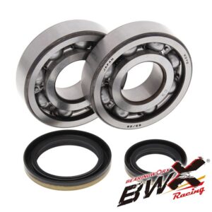Crank Bearing Kit - RM250