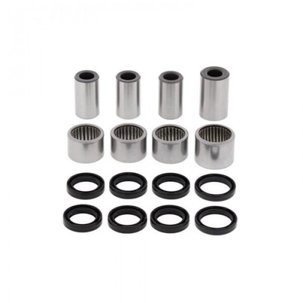 Swing Arm Linkage Kit - TRX450