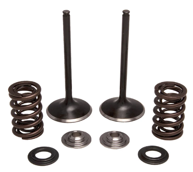 372-30-31230. KIBBLEWHITE Inlet Valve Kit - CRF450X '05-'17