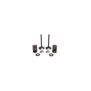 Inlet Valve Kit - KXF450 '09-'16
