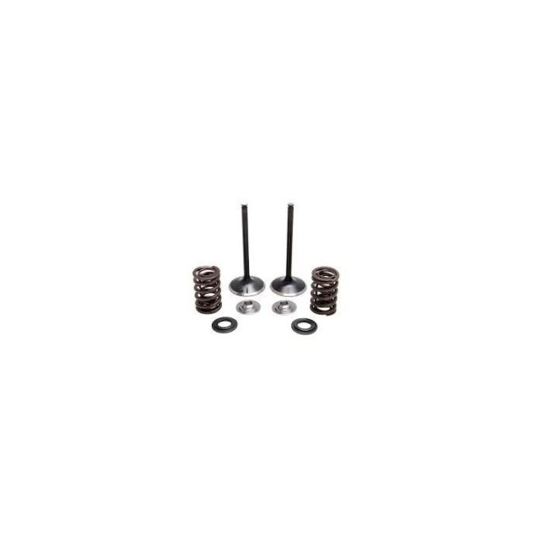 Inlet Valve Kit - KXF450 '09-'16
