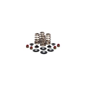 Complete Valve Spring Kit-CRF250X 04-17/CRF250R 04-07