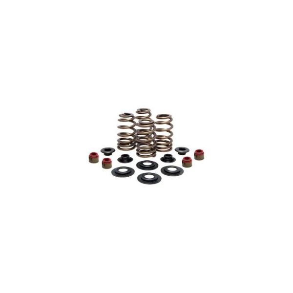 Complete Valve Spring Kit-CRF250X 04-17/CRF250R 04-07