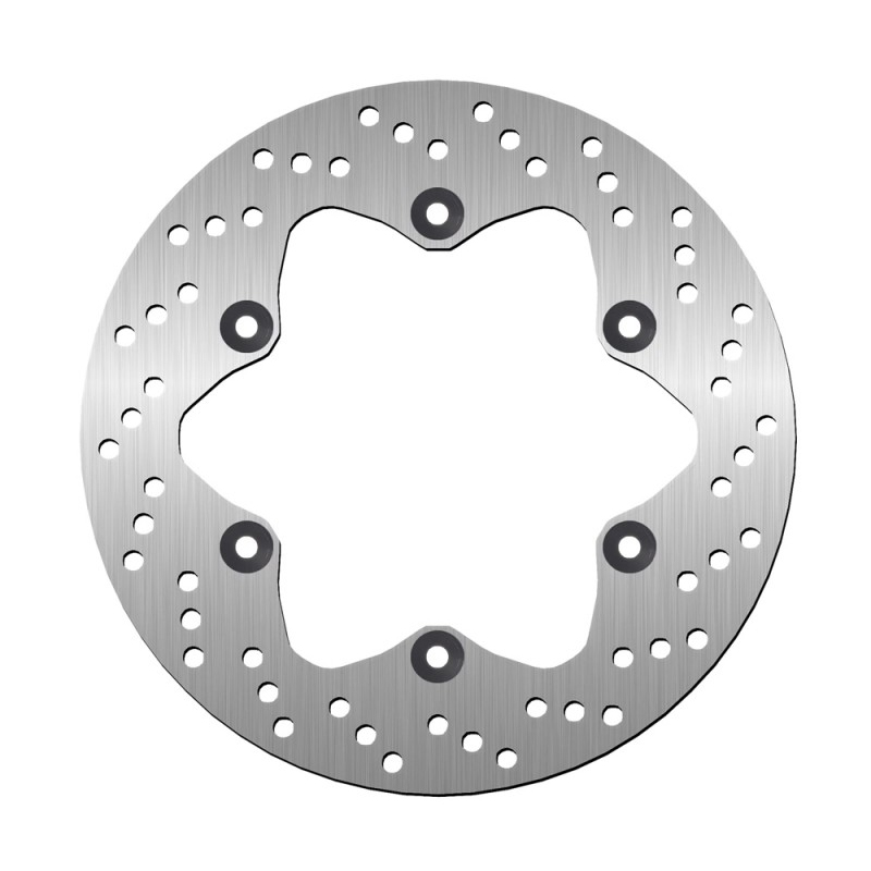 Rear Brake Disc - Bking