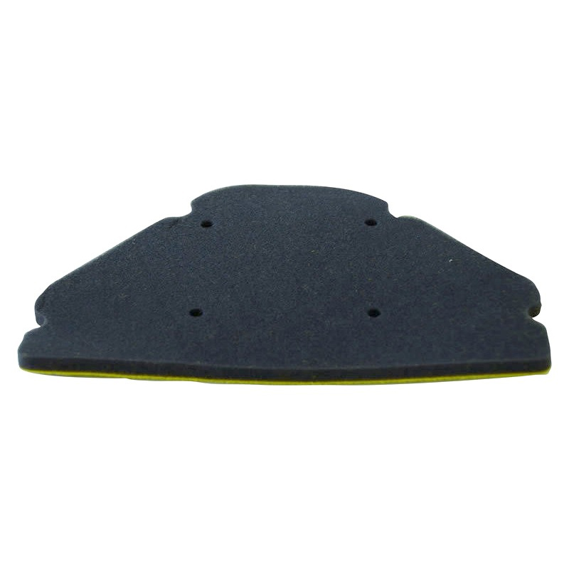Champion Air Filter - ZX9R '98-'03
