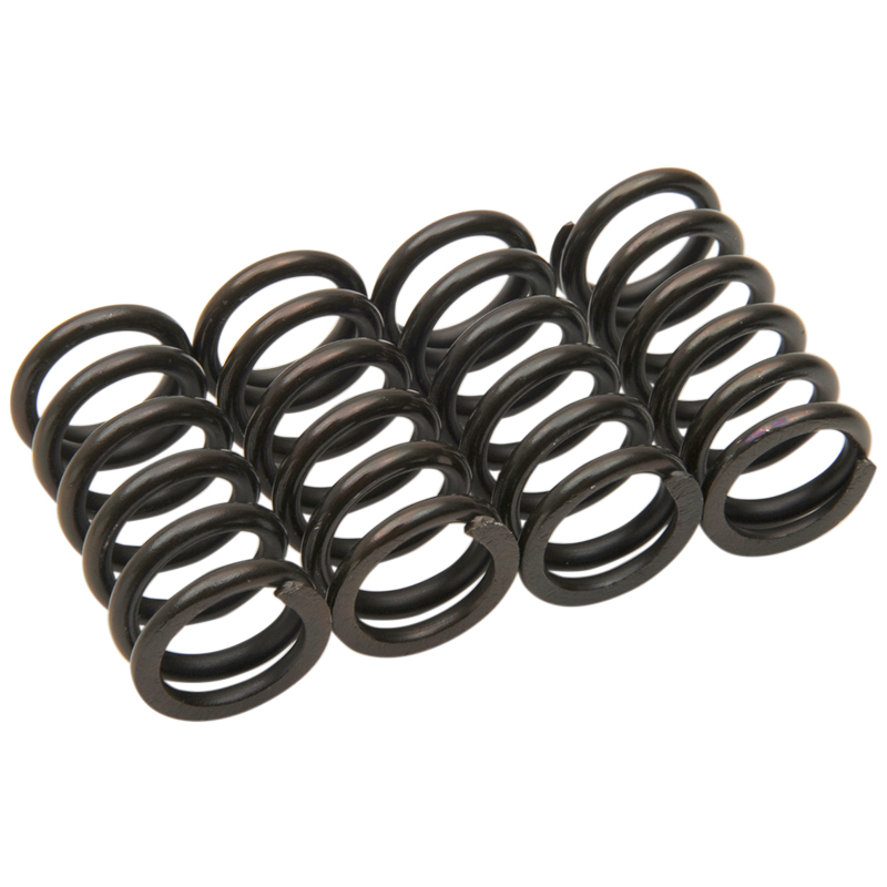 Clutch Springs - RM125/RMZ250