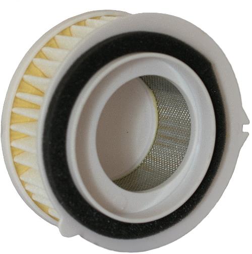 227-caf3607. CHAMPION Air Filter CAF3607