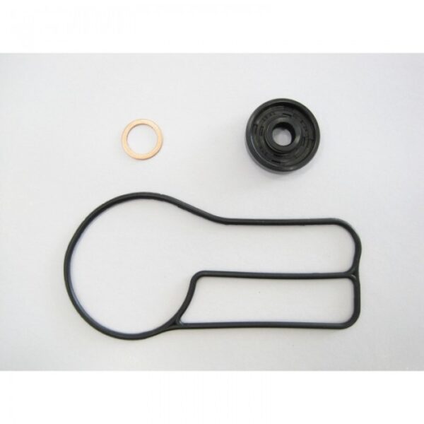 276-WPT220#1.jpg. BWX Water Pump Gasket Set - KTM/HSQ250/300