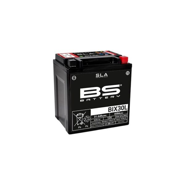 BS BIX30L-BS Battery