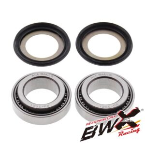STEERING BEARING KIT BWX 22-1013